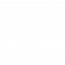 White vase line illustration