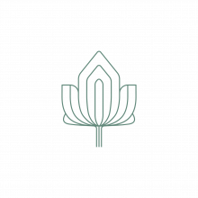 line drawing of leaf
