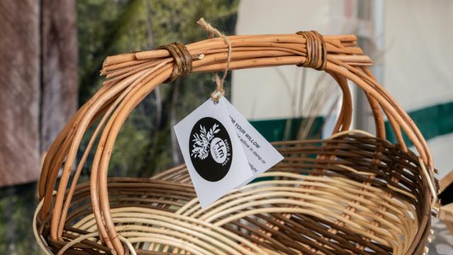 Workshops at World of Wedgwood