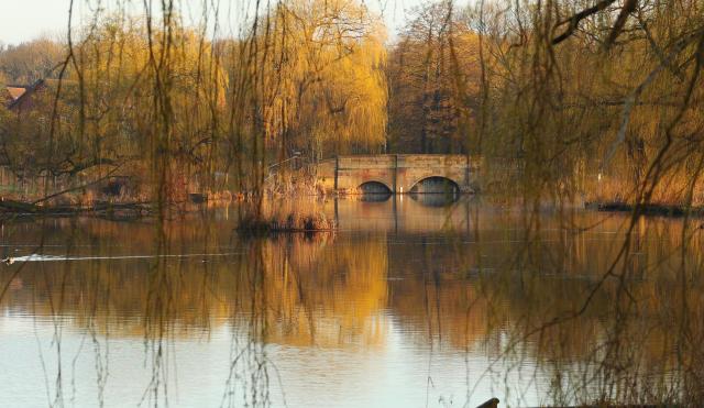 wedgwood lake pool