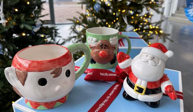 Elf mug, reindeer mug and santa ceramic