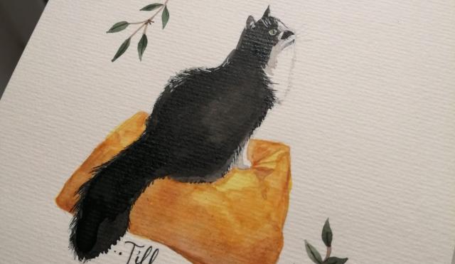 Image of watercolour painted Cat