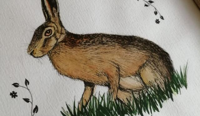 Image of watercolour painted Rabbit